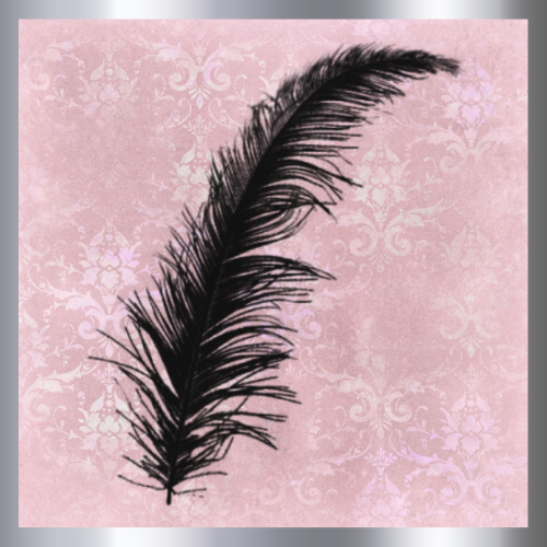 An image of an erotic black feather on a pink and silver background. From FemaleSlavery.com